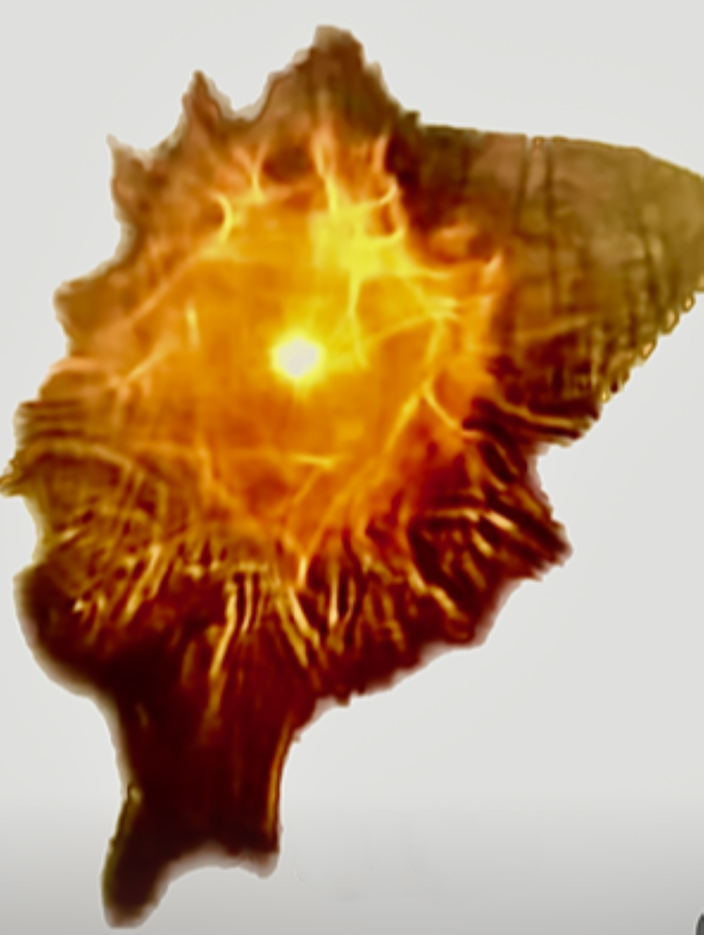 Thermal imaging still of a bright white-hot core surrounded by radiating orange and red flame-like patterns
