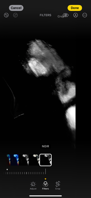 Photo editing app screenshot showing a black-and-white noir filter applied to a hazy investigation photo
