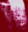 Cropped close-up still from investigation footage showing a pale textured shape against a dark magenta background