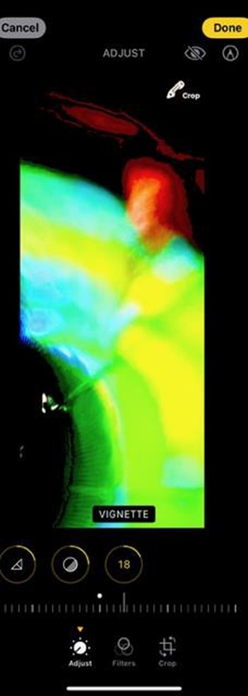 Photo editing app screenshot showing a green and yellow thermal-style gradient overlay applied to an investigation photo